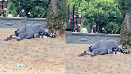 Shocking Park Incident as Homeless Couple Caught Having Sex Near Cal Anderson Play Area: 'A Sight I Wish I Could Unsee'