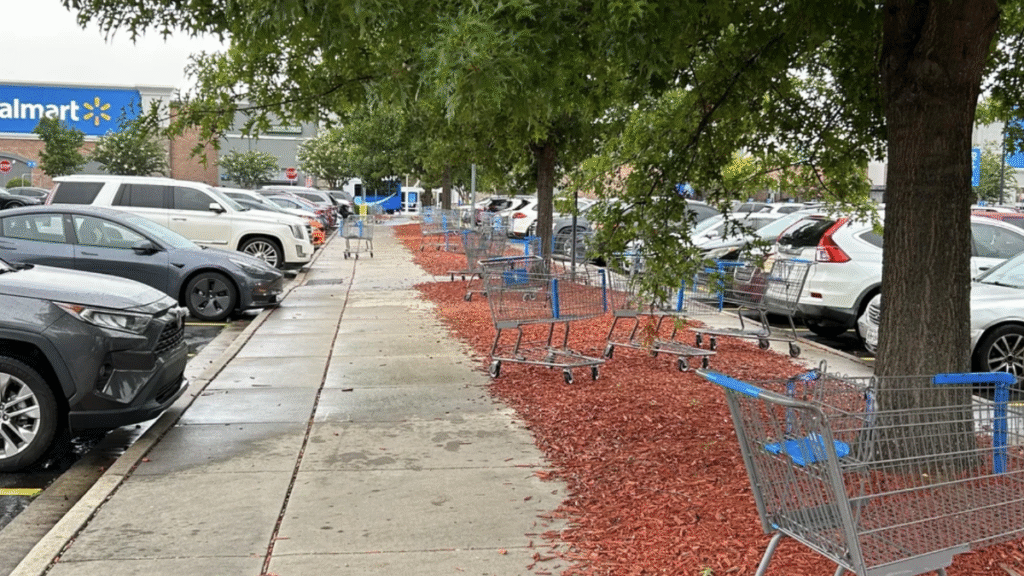 South Carolina Man Slams ‘American Laziness Epidemic’ After Seeing Walmart Shoppers