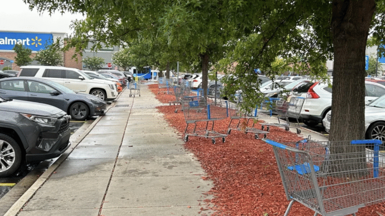 South Carolina Man Slams ‘American Laziness Epidemic’ After Seeing Walmart Shoppers