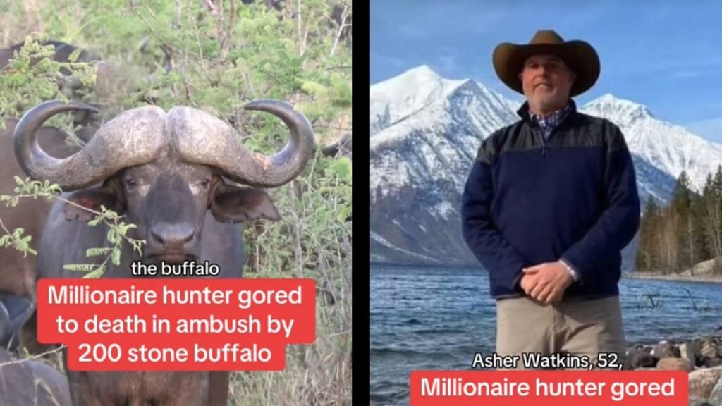 Texas millionaire kill buffalo