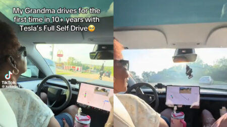 Blind Grandma’s Wild Ride in Texas as Tesla Owner Breaks Full Self Driving Rules: ‘Morons, the Lot of Them'