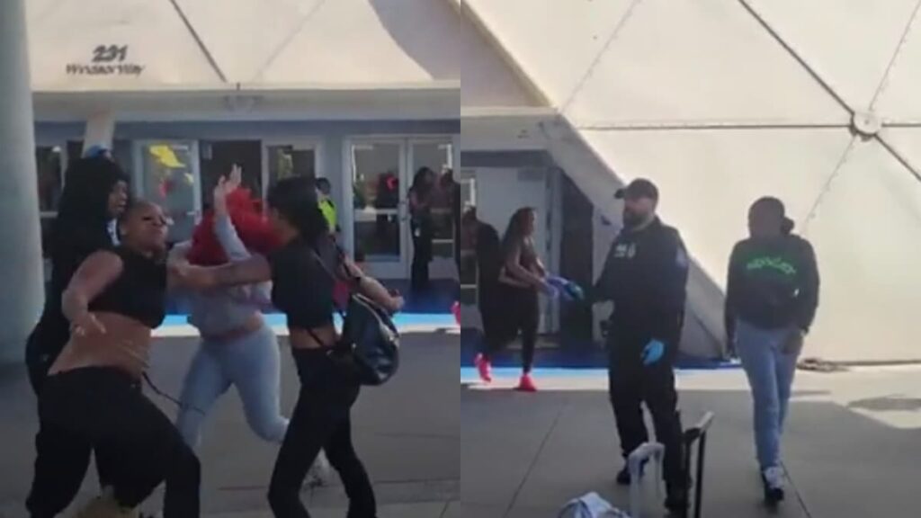 Violent California Black Group Starts Beating Each Other Up Outside Cruise Ship: ‘Uncivilized Swines’ A picture of the California group.