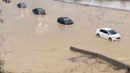 Sophia Bush Calls Out ‘Failing Leadership’ After Deadly ‘Once-in-a-Millennium’ Tennessee Storm Flood in Tennessee