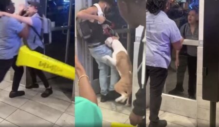 new york mcdonald's fight