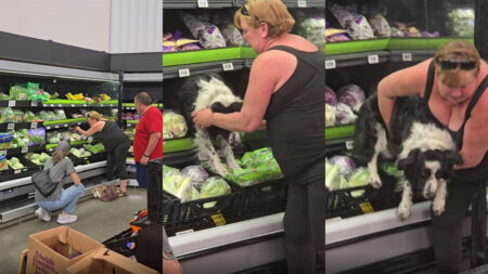 Walmart lettuce dog