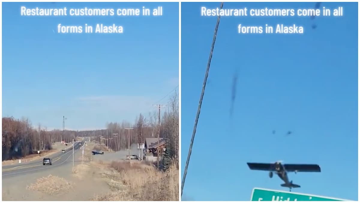 Alaska Customer Leaves Restaurant in Style by Flying Away in a Plane in Viral Clip: ‘This Feels So GTA San Andreas’