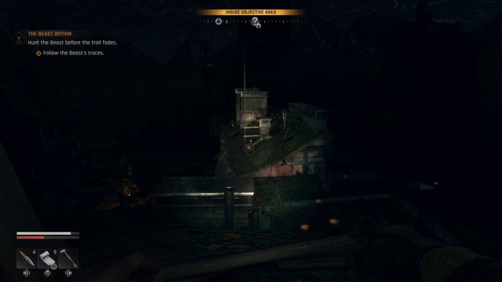 Castor Woods at night