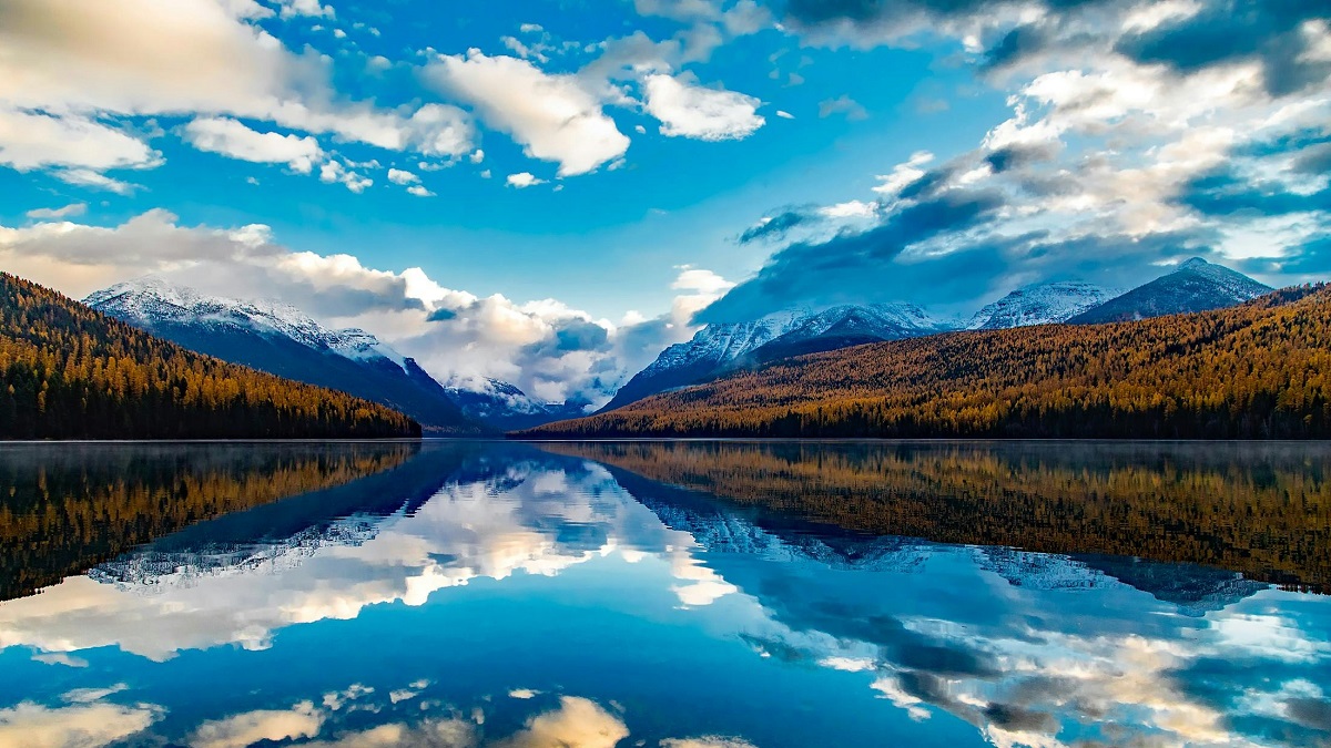 FBI Burns Meth at Facility, Montana Animal Shelter Forced to Evacuate with Hospitalizations, ‘South Park Writers Will Have Material For Decades’