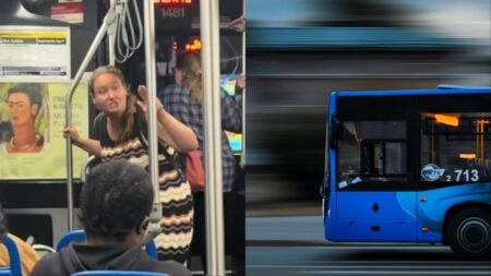 Illinois woman has racist meltdown on a bus