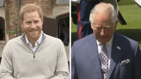King Charles 'Desperate To Meet Grandchildren and Arrange Zoom Call' Is a 'Lie'