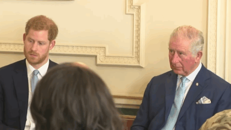 King Charles Scolds Prince Harry After Private Meeting