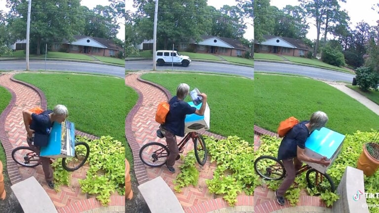 Louisiana Porch Pirate