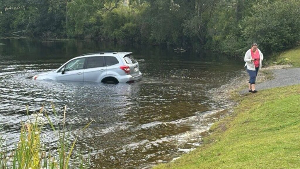 Massachusetts Woman’s Car Ends up in Lake After She Forgot To Put It in Park While Yelling at ICE: ‘Instant Car-Mah’