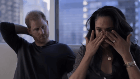 Netflix Co-CEO Claims Prince Harry and Meghan Markle's Show Was 'Very Successful by Every Measure'