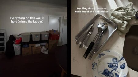 New York Clutter Evict Roommate