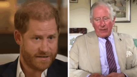 Prince Harry's 'Part-Time' Royal Job in King Charles' 'Racist Toxic Prison' Won't Happen