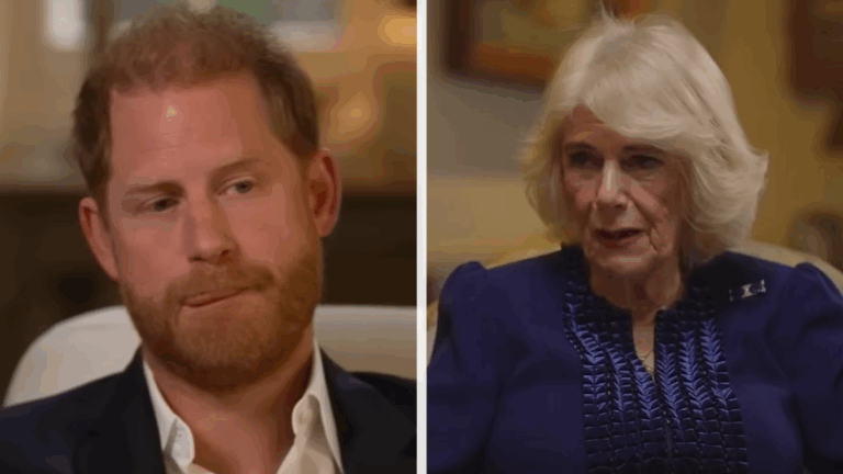 Queen Camilla Stops Prince Harry From 'Abusing' King Charles During Private Meeting