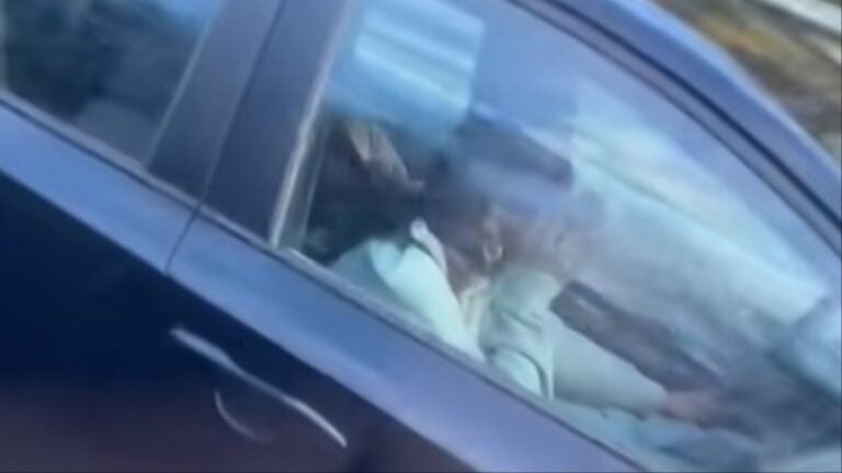 Tennessee Driver catches strange highway moment