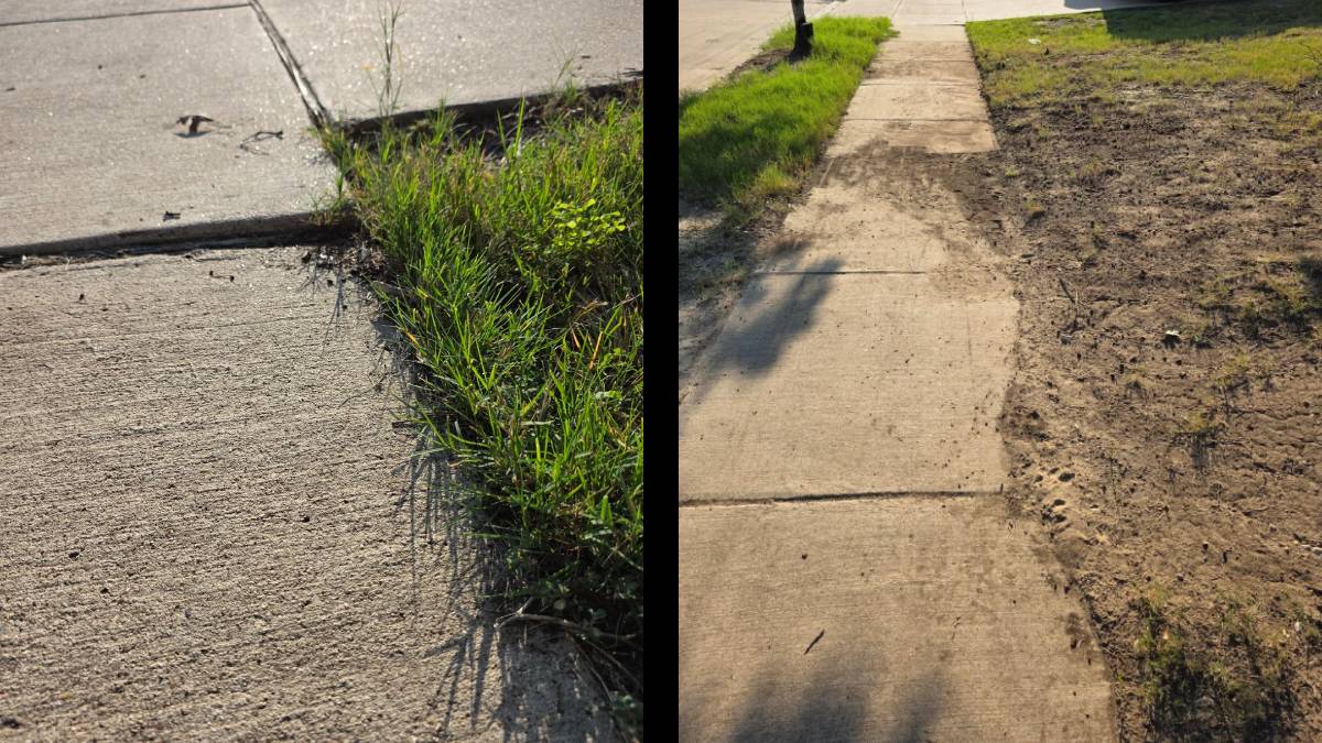 A Texas HOA Threatens Homeowner With a Fine if They Don’t Fix Their Yard Within 10 Days: ‘Plant Some Seed and Water It. It’s an Easy Fix’