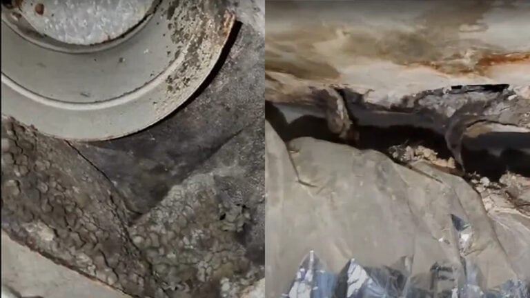 Houston Renter Making $16 an Hour Says They Paid $1,600 for Mold-Infested Apartment: ‘You Have to Move Out Immediately’ Houston Renter Making $16 an Hour Says They Paid $1,600 for Mold-Infested Apartment: ‘You Have to Move Out Immediately’