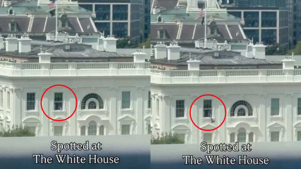 Mysterious Object Thrown From White House Window in Washington, D.C. Stokes Wild Rumors About Trump’s Health: ‘It’s the Epstein Files!’ Mysterious Object Thrown From White House Window in Washington, D.C. Stokes Wild Rumors About Trump’s Health: ‘It’s the Epstein Files!’