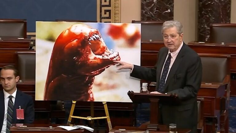 Radioactive Shrimp Can Turn You Into a Xenomorph from Alien, Warns MAGA Senator from Louisiana: ‘Stay Safe Out There’ alien from radioactive shrimp by senator kennedy