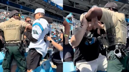 Fan at Carolina Panthers game arrested
