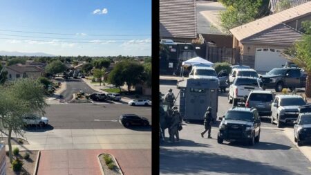 Arizona SWAT Squatter