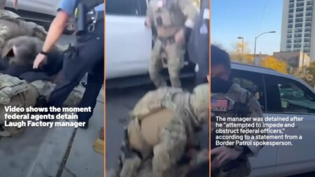 Chicago Comedy Club Manager Violently Detained by Masked 'Police' Agents in Front of Mom 'ICE is a Criminal Gang'