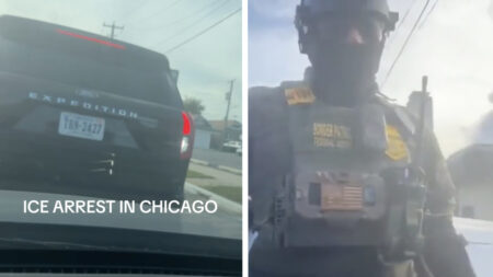 Chicago ICE Agents Back Up into Woman's Car Then Arrest Her