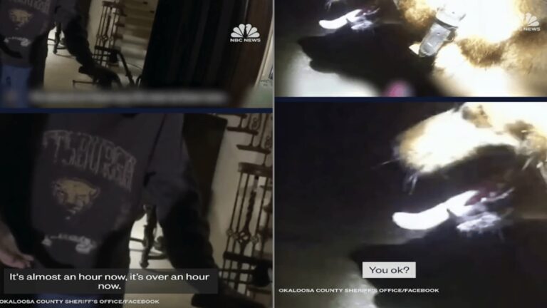Florida Body Cam Footage Shows Dog Leading Deputy to Missing Woman, ‘I’d Argue That Dogs Are Human’s Greatest Invention’ Florida Body Cam Footage Shows Dog Leading Deputy to Missing Woman