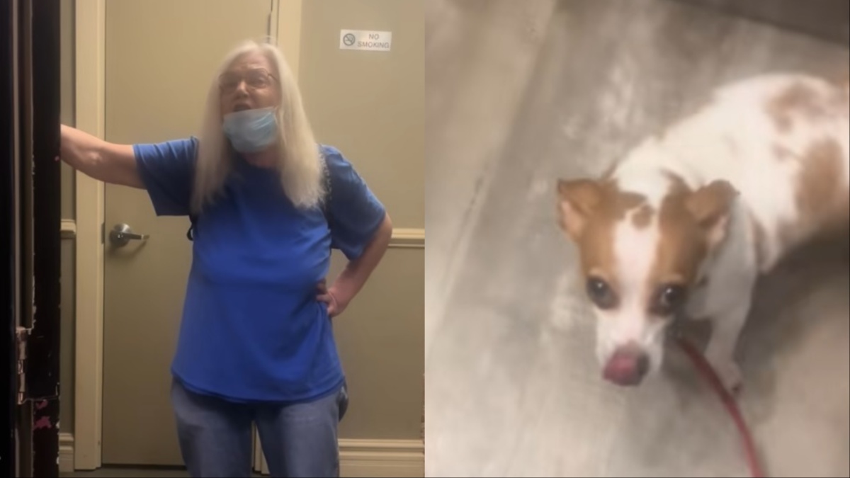 Kentucky Man Gets Help From Neighbors During Elevator Dog Dispute: ‘Dogs Can Sense Evil’