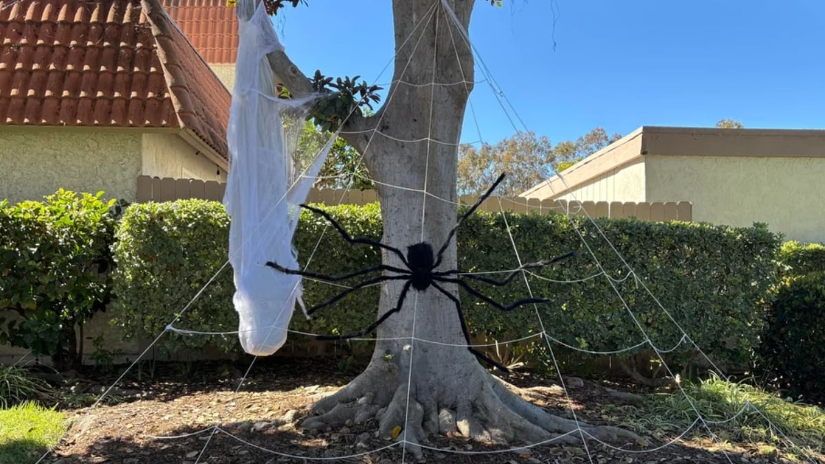 California HOA Karen Sends a Cease and Desist to Neighbors Because of Their Decorations, ‘Dress Up As Her for Halloween’