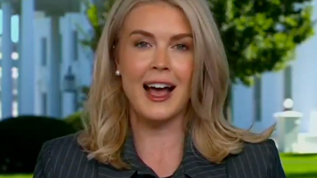 Karoline Leavitt on Fox News