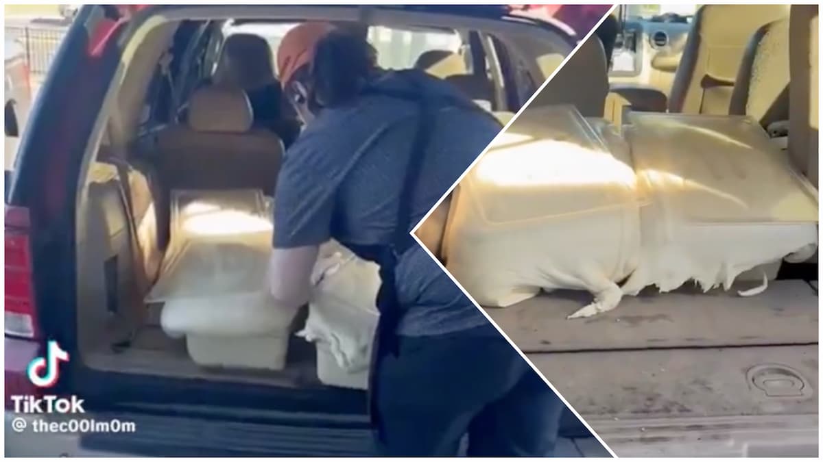 Tennessee Little Caesars Workers Filmed Hauling Pizza Dough in Dirty Car, Health Department Steps In: ‘If You Eat Pizza, Don’t Eat Here’