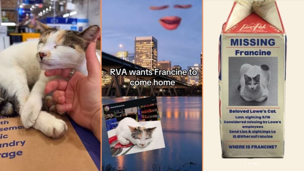 Richmond Locals Still on the Search for Local Lowe's Cat 'I'm so Stressed for Francine'