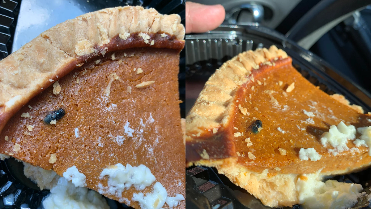 San Antonio Bill Millers Customer Says Their Pie Was Served With a Fly Baked Into It: “You Want Flies With That?”