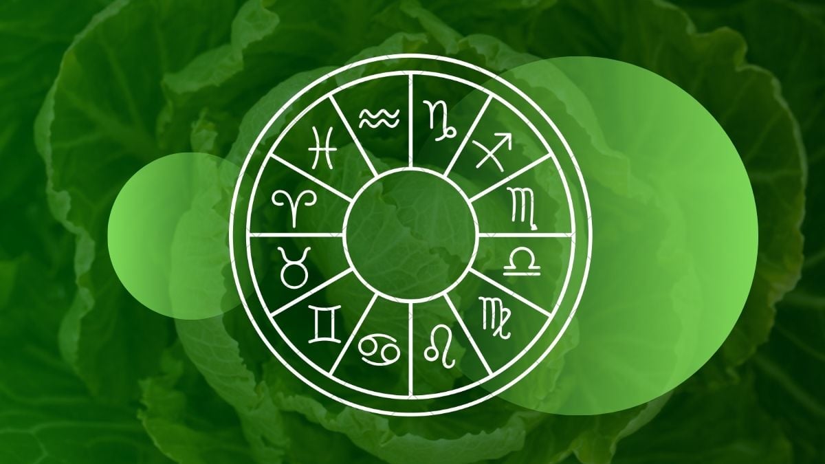 Today’s Horoscope: October 23rd – Colors Change Like Emotions