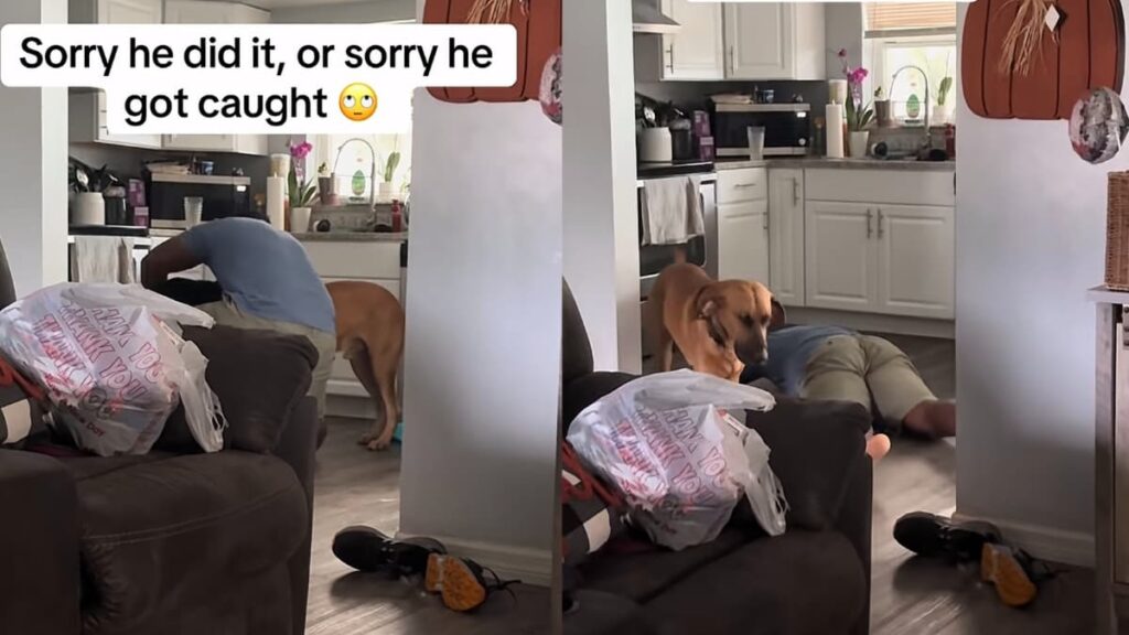 He just made the breakup a lot easier