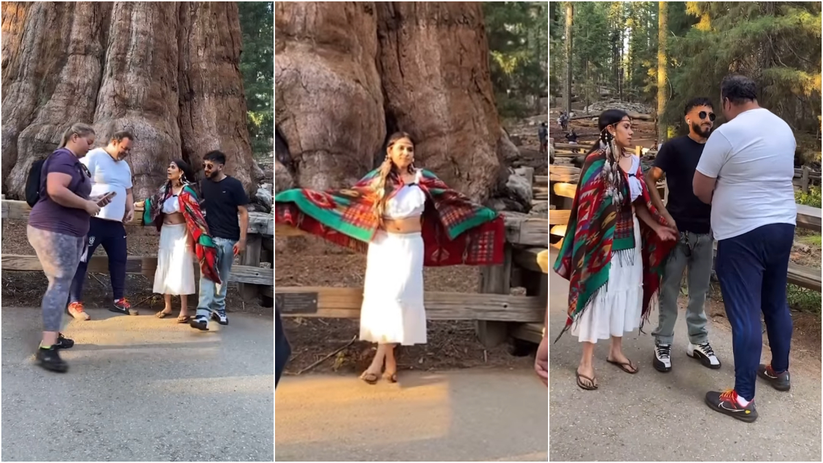 ‘Native American’ Gets Harassed by Tourist in California Over Sequoia Photo Op, ‘This is My Country!’