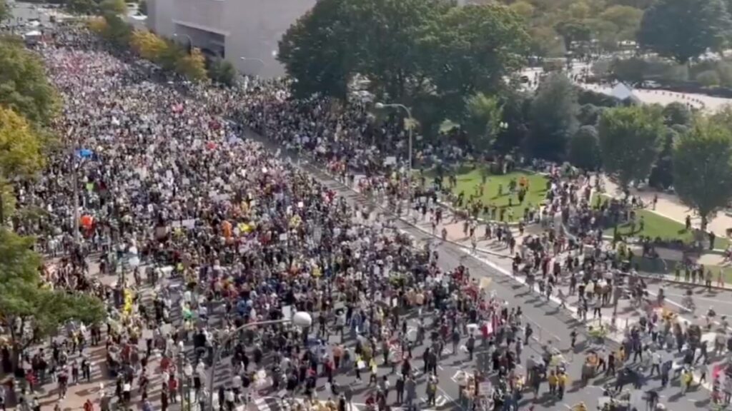 No Kings day protest in DC