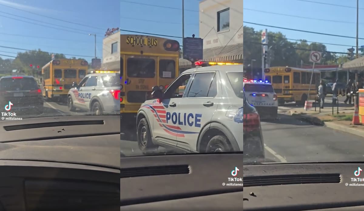 Washington D.C. Bus Driver Refuses to Run Red Light, Infuriates Stranded Police Cruiser: ‘Ego Over Emergency’
