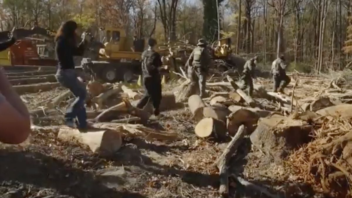ICE Agents Chase Charlotte Business Owner Into the Woods As Locals Follow, “ICE Is Causing More Terror and Hardships Than a Flower Shop Owner Ever Did”