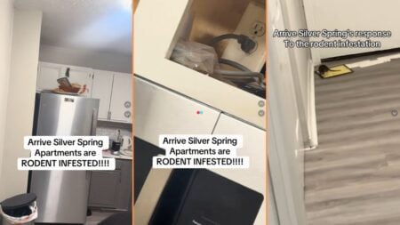 Devastated Maryland Woman Discovers Rodent Infestation in Apartment, Management Reportedly Does Nothing: ‘A BAG OF RATS???!’ Devastated Maryland Woman Discovers Rodent Infestation in Apartment, Management Reportedly Does Nothing 'A BAG OF RATS!'