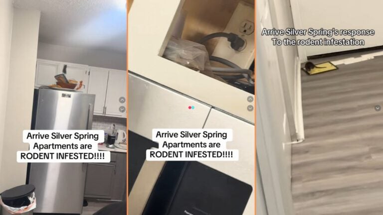 Devastated Maryland Woman Discovers Rodent Infestation in Apartment, Management Reportedly Does Nothing 'A BAG OF RATS!'