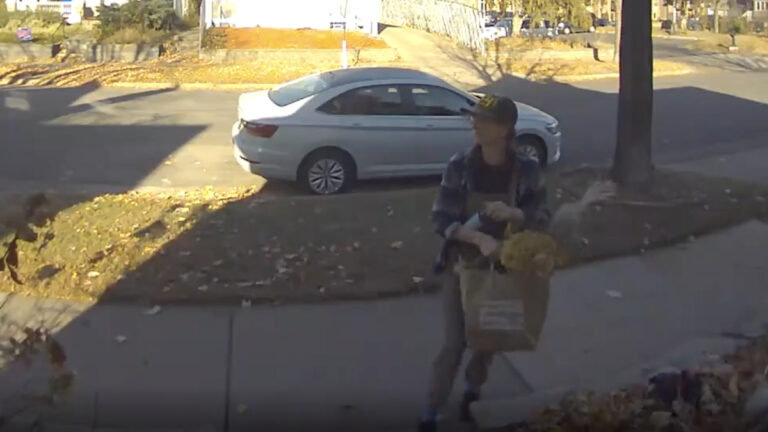Minnesota Woman Caught Stealing Neighborhood's Christmas Decorations and Plants