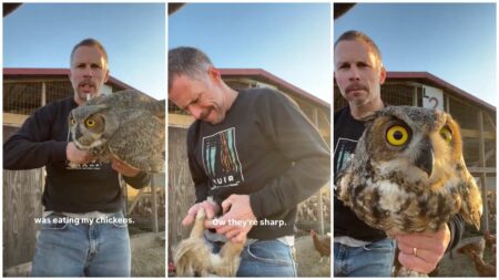 Texas farmer with owl