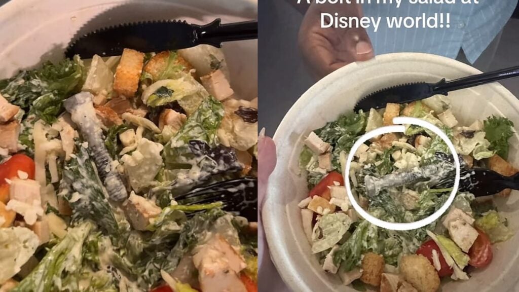 Shocked Florida Woman Discovers Metal Bolt in Salad at Disney World: ‘You Need to Report It’ A picture of the Florida woman's salad.