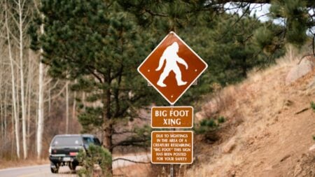 ‘Sincere and Credible’ Air Force Veteran Says Bigfoot Crossed Pennsylvania Highway Like It Owned the Road & Experts Believe Him Bigfoot sighting in Pennsylvania
