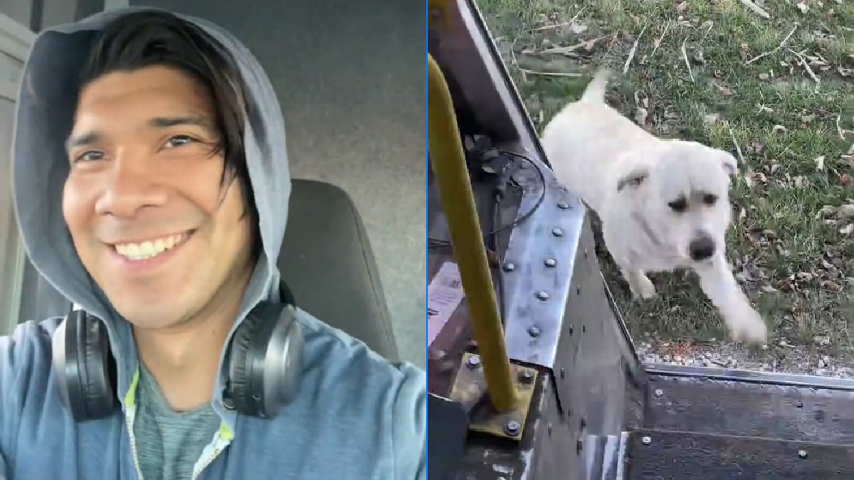 Sweetest Dog in Illinois Makes This FedEx Driver’s Day the Most Heartwarming Part of Work, ‘Ain’t enough treats in the world to subdue him’